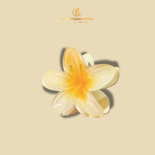  Kẹp Hoa Sứ Màu Ngẫu Nhiên Size 8cm