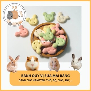 Cookie hình gấu vị sữa cho Hamster, nhím, sóc, thỏ, bọ, chó,… - Xu.petshop