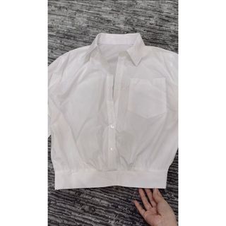 Áo sơ mi bo gấu A16
