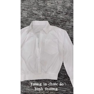 Áo sơ mi bo gấu A16