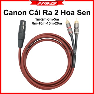 Dây Canon Cái Ra 2 AV Hoa Sen Dài 1m-2m-3m-5m dây âm thanh từ vang số ra sub (sup) TG001 MrG