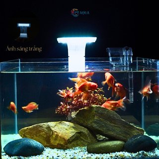 Đèn LED 12 kẹp thành hồ cá, hồ thủy sinh từ 15 đến 40cm