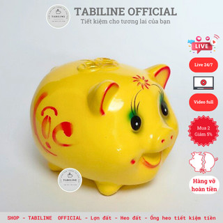 Lợn đất heo đất ống tiết kiệm tiền size vừa siêu cute đẹp LD03 - TABILINE