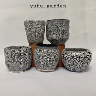 Chậu sứ rạn - chậu mini trồng sen đá, xương rồng / men rạn