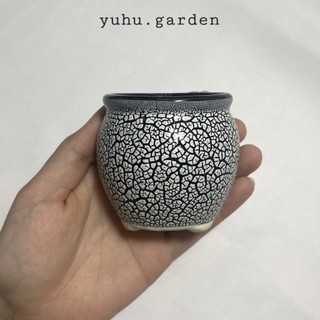 Chậu sứ rạn - mẫu hũ / Chậu sứ hũ rạn - chậu mini trồng sen đá, xương rồng