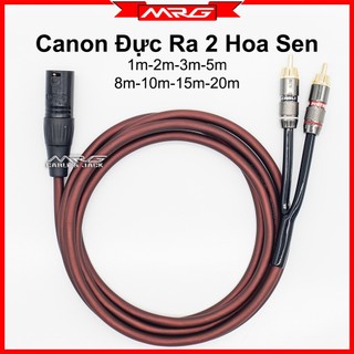 Dây Canon Đực Ra 2 AV hoa sen dài 8m-10m-15m-20m, giá 1 dây.