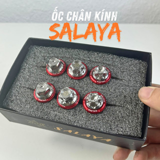 ỐC CHÂN KÍNH- ỐC CHÂN GƯƠNG SALAYA INOX 304 10LI ĐẦU TRỤ LẮP CHO NHIỀU DÒNG XE.