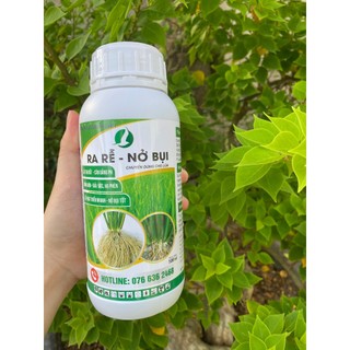 Ra rễ nở bụi 500ml