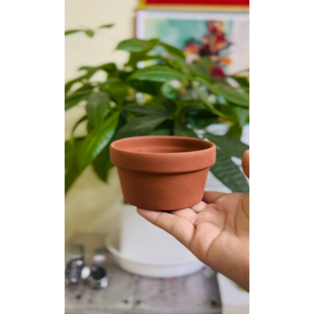[Giá sỉ] Chậu đất nung các kích thước