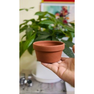 [Giá sỉ] Chậu đất nung các kích thước