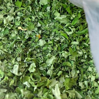 Lá Chùm Ngây khô | trà chùm ngây| Dried Moringa leaves 1kg