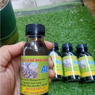 Thuốc kích rễ mai vàng, giâm cành, chiết cành A01 GDTM rễ đẹp, mạnh, đều, cây phục hồi nhanh bonsai, cây cảnh  100ml