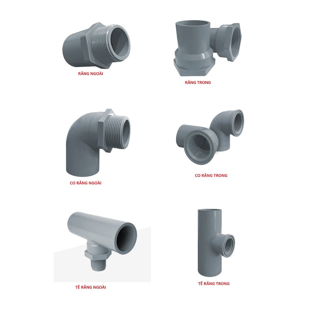 Răng trong 34, răng ngoài 34, co răng trong 34, co răng ngoài 34, tê răng trong 34, tê răng ngoài 34