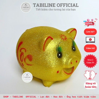 Lợn đất heo đất ống tiết kiệm tiền size vừa kim tuyến vàng cute đáng yêu LD12 - TABILINE