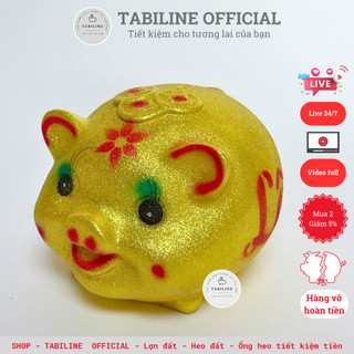 Lợn đất heo đất ống tiết kiệm tiền size nhỡ kim tuyến vàng cute đáng yêu LD11 - TABILINE