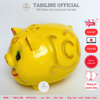 Lợn đất heo đất ống tiết kiệm tiền size đại to siêu cute đáng yêu đẹp LD05 - TABILINE
