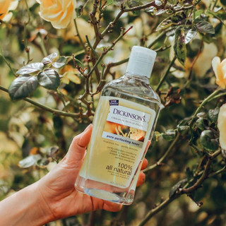 [Bill Mỹ] Toner cây phỉ Dickinson's Original Witch Hazel 473ml