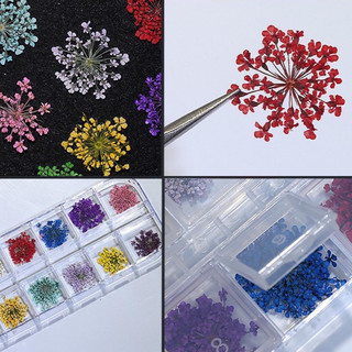 hoa khô trang trí móng , đắp ẩn nail 12 màu ( hoa nhỏ)