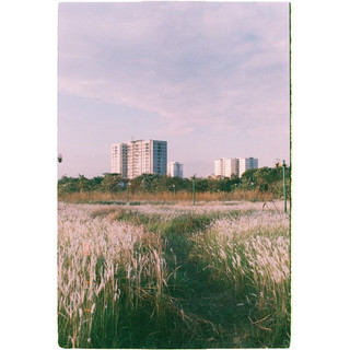 [Hanoi Film] Phim Mitsubishi MX-III 400
