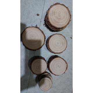 Lát gỗ tròn nhiều kích thước từ 2cm đến 15cm