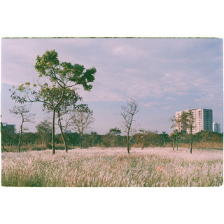 [Hanoi Film] Phim Mitsubishi MX-III 400
