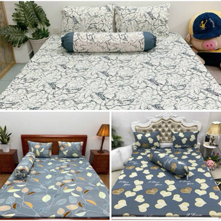 ⚡️freeship ✅bộ ga gối thun lạnh hàn quốc màu trơn & hoạ tiết
