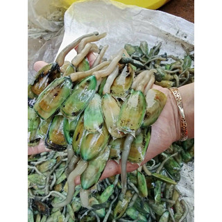 MẮM CÀ XỈU hủ 500g hot hit