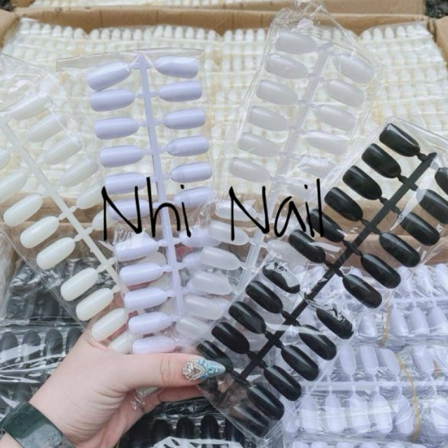 Móng mẫu vỉ bầu,học Nails 240 móng