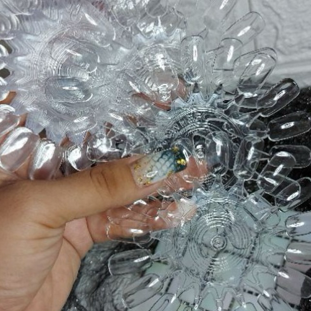 Móng mẫu vỉ học vẽ tròn (Lẻ vỉ)