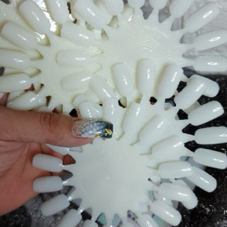 Móng mẫu vỉ học vẽ tròn (Lẻ vỉ)