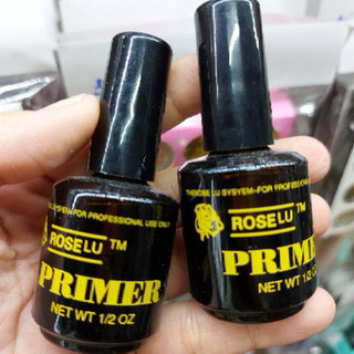 Primer liên kết đắp bột hoặc gel
