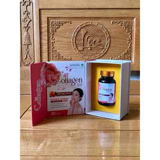 COLLAGEN MDP