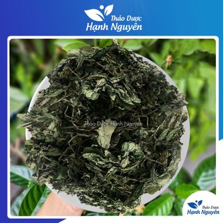 Lá đắng 500g, lá cơm kìa khô hỗ trợ chữa dạ dày, chuẩn hàng tây bắc thơm, sạch, đẹp - Thảo dược hạnh nguyên