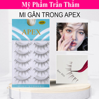 Lông Mi Giả Gân Trong, Mi Gân Trong APEX Cao Cấp Đủ Các Số