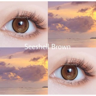 1 đôi lens Hàn chính hãng mẫu như ảnh (hsd 1 năm)