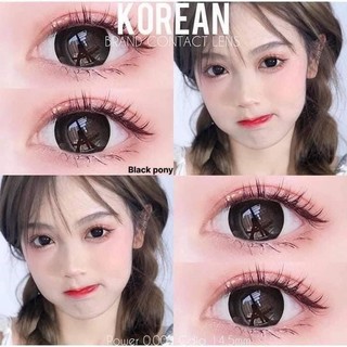 1 đôi lens Hàn penut. chính hãng hsd 1 năm mẫu như ảnh