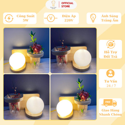 Đèn Tường Energy Green Lighting Kệ Gỗ Chao Thủy Tinh DT-2714 - Trang Trí Decor Căn Phòng - BH 1 Năm