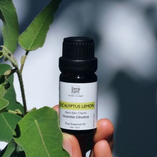 Tinh Dầu Bạch Đàn Chanh Bèo Tấm - Lemon Eucalyptus Essential Oil 10ml/50ml