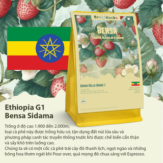 Cà phê hạt Arabica specialty Ethiopia Bensa Sidama Della Natural Grade 1 - Stupiducks Specialty Coffee