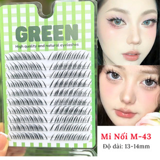 Mi Giả Tây Đuôi Cáo Tách Cụm Và Mi Gân Trong Tự Nhiên Tái Sử Dụng Nhiều Lần