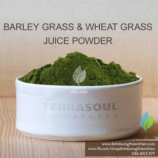 [40g] Bột Nước Ép Cỏ Lúa Mì, Lúa Mạch (Đại Mạch) Terrasoul Organic Wheat Grass, Barley Grass Juice Powder 40g