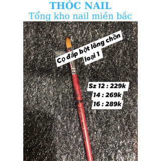 cọ đắp phom bột nail nâng cao
