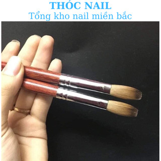 cọ đắp phom bột nail nâng cao