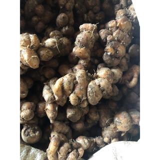 1kg xá kén, địa liền nương