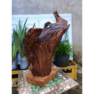 lũa ngọc am đỏ