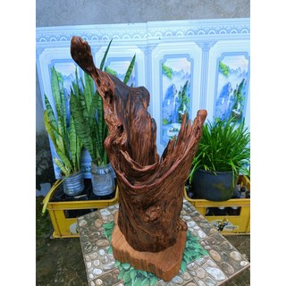 lũa ngọc am đỏ