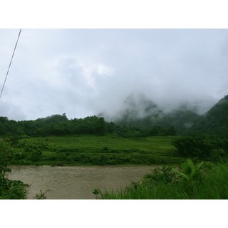lũa ngọc am đỏ