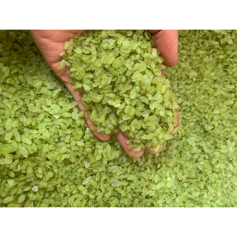1kg CỐM XANH KHÔ LÀNG VÒNG