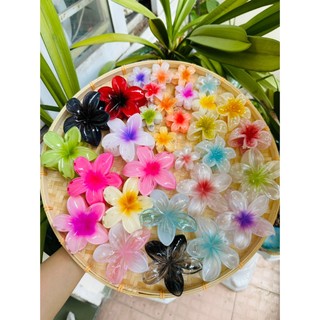 Kẹp hoa sứ hottrend nhiều màu dễ thương 6cm , 8cm dễ thương dùng kẹp tóc, làm phụ kiện trang trí