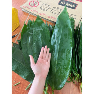 90 lá tre tươi gói bánh